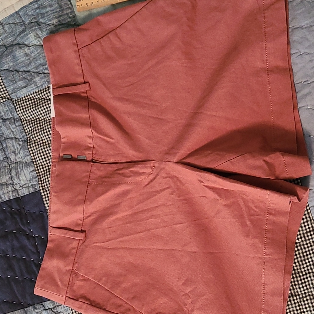 NWT LOFT Riviera Short Size 8